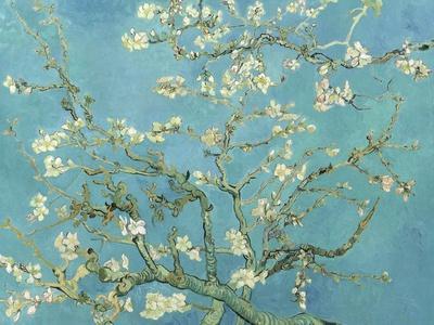 Almond Blossoms, 1890 - Wall Art Print, 16x12