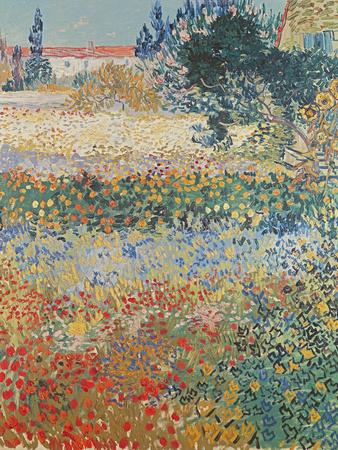 Garden in Bloom Arles, c.1888 - Giclee Print, 12x16
