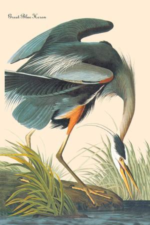 Great Blue Heron - Wall Art Print, 12x18