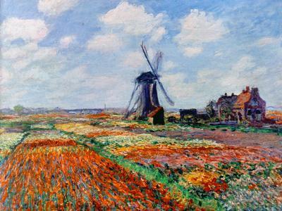 Monet: Tulip Fields, 1886 - Giclee Print, 16x12