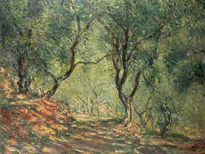 Olive Grove in the Moreno Garden, 1884 - Giclee Print, 16x12
