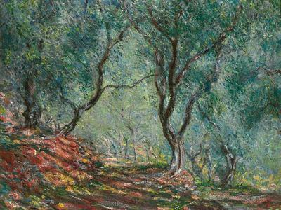Olive Trees in the Moreno Garden, 1884 - Giclee Print, 16x12