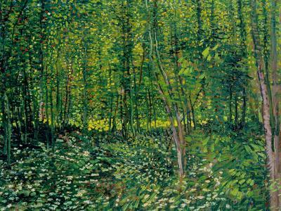 Trees and Undergrowth, c.1887 - Giclee Print, 16x12