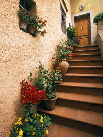 Tuscan Staircase, Italy - Photographic Print, 12x16